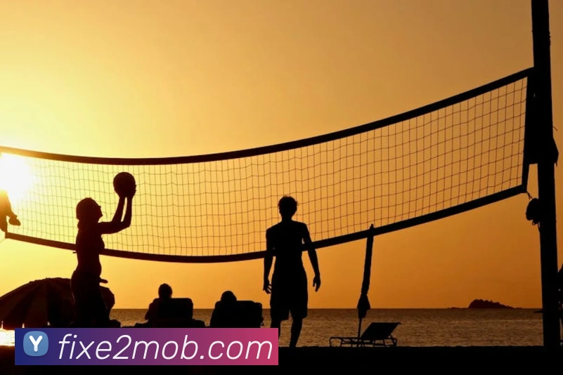 体育直播服务